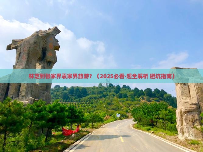 林芝去张家界袁家界旅游