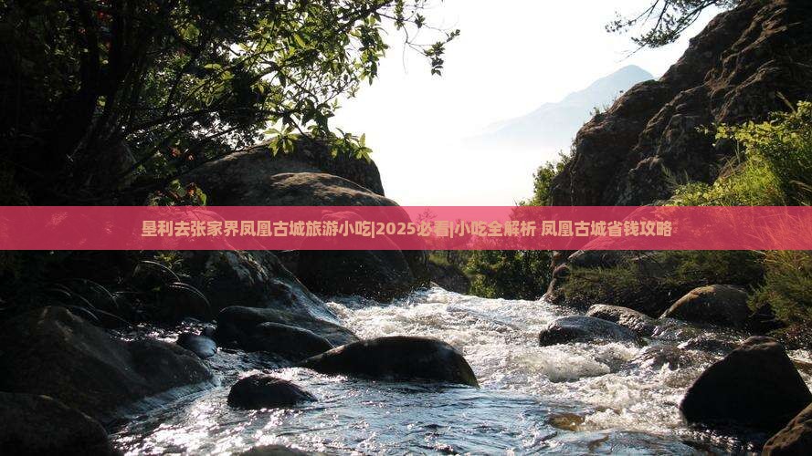 垦利去张家界凤凰古城旅游小吃