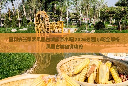垦利去张家界凤凰古城旅游小吃