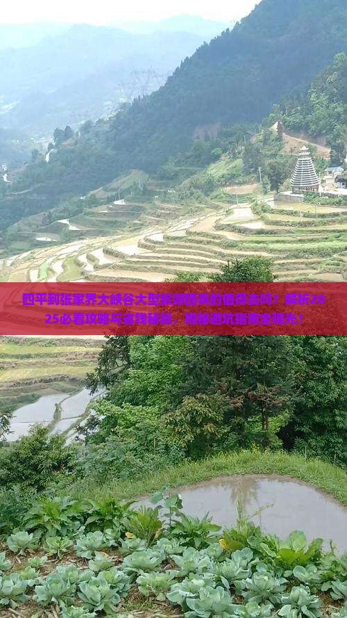 四平到张家界大峡谷大型旅游团