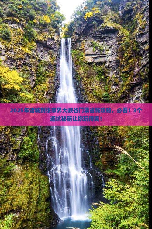 诸城到张家界大峡谷门票