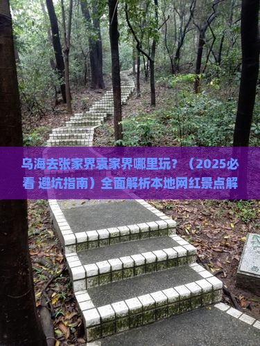 乌海去张家界袁家界哪里玩