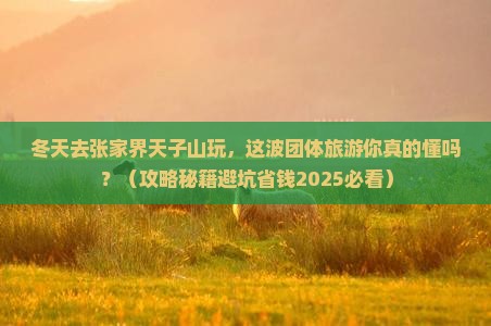冬天到张家界天子山团体旅游