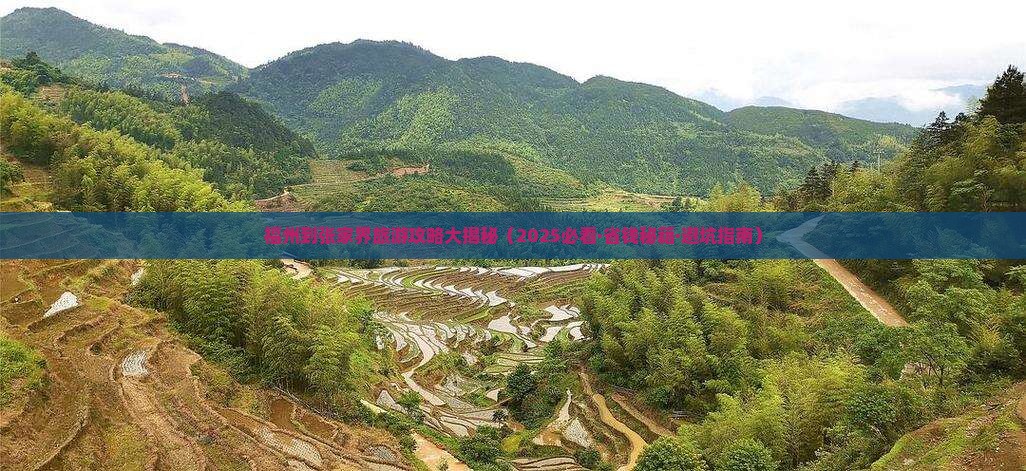 福州到张家界团体旅游