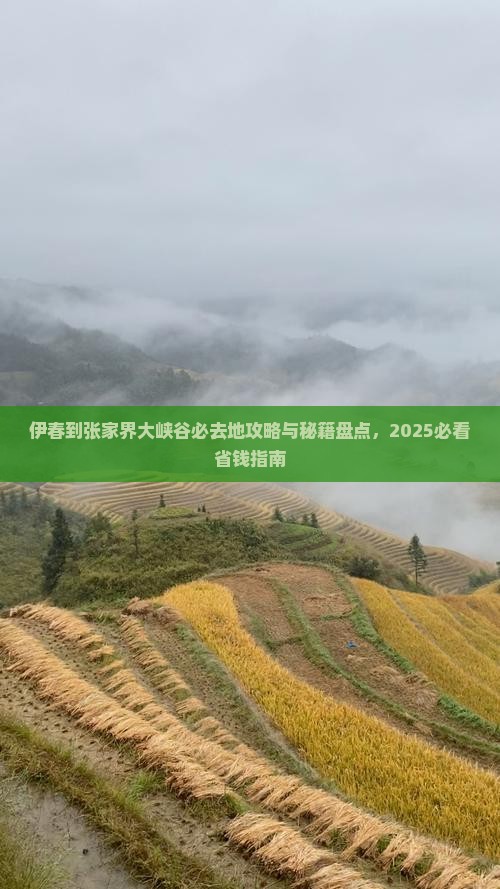 伊春到张家界大峡谷必去地