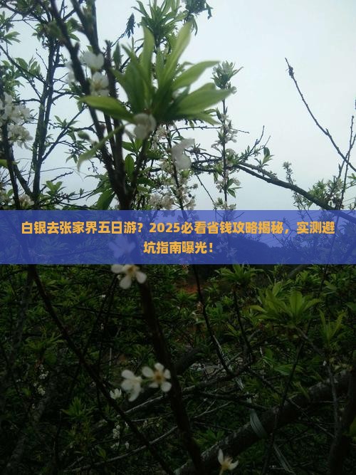 白银去张家界五日游