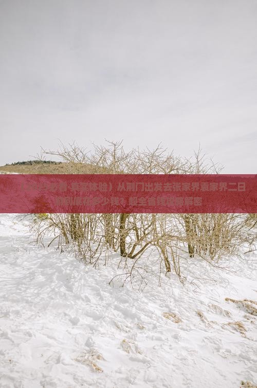 荆门到张家界袁家界二日游