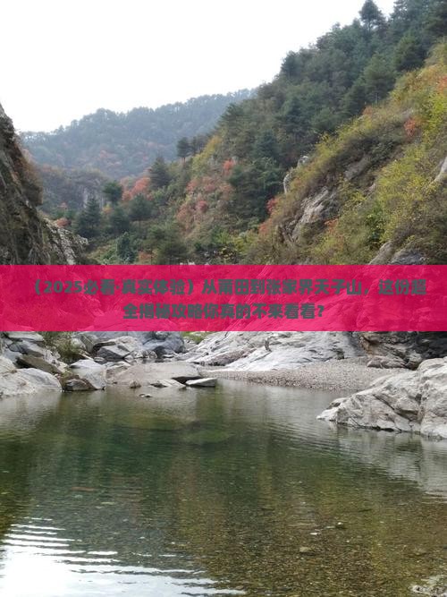 莆田去张家界天子山旅游