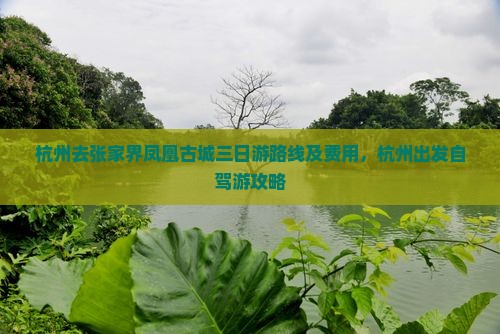 杭州去张家界凤凰古城三日游