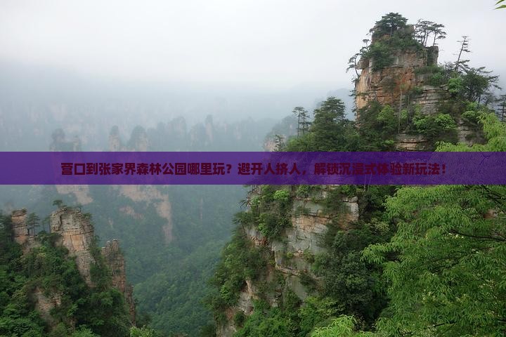 营口到张家界森林公园哪里玩