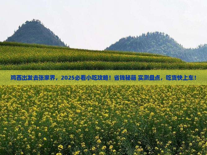 鸡西去张家界旅游小吃 鸡西去张家界旅游小吃