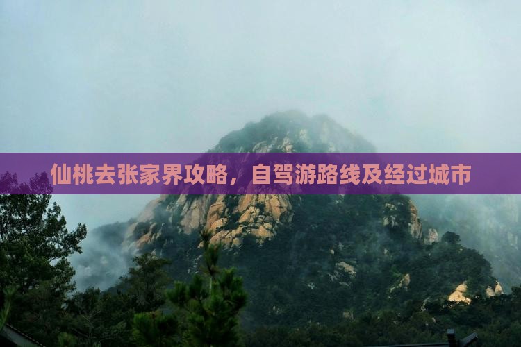 仙桃去张家界攻略