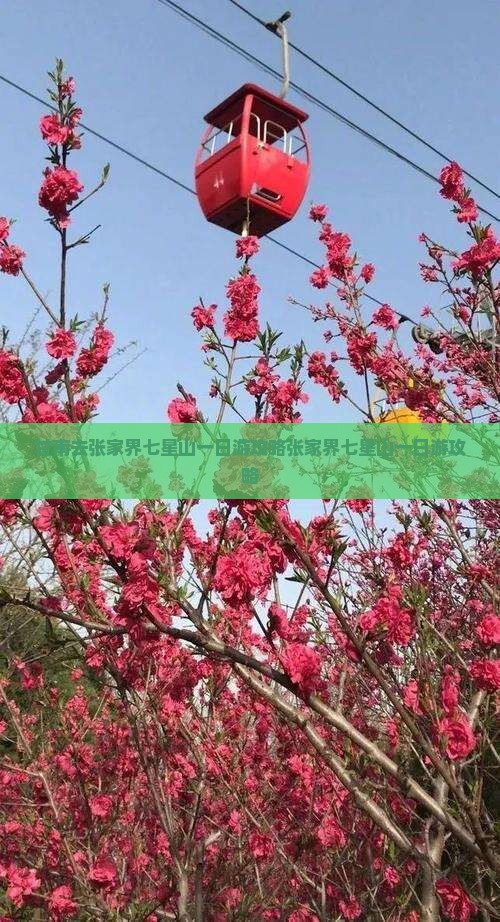 甘南去张家界七星山一日