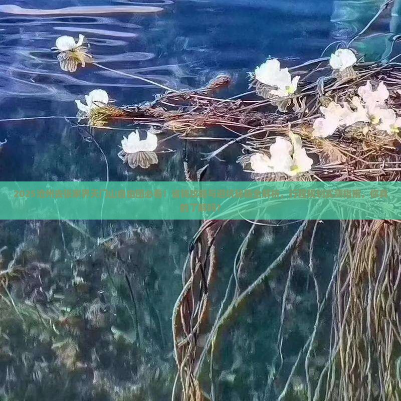 沧州去张家界天门山自由团