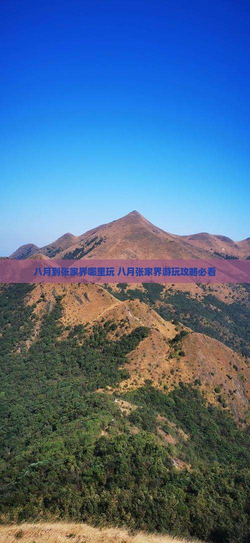八月到张家界哪里玩