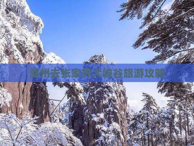 滁州去张家界大峡谷大型旅游团