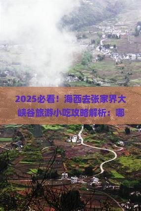 海西去张家界大峡谷旅游小吃