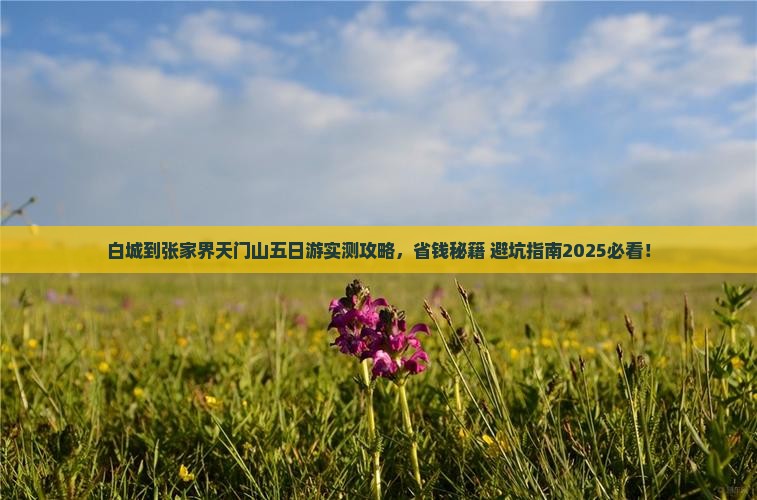 白城到张家界天门山五日游