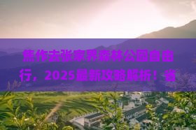 焦作去张家界森林公园自由行 焦作去张家界森林公园自由行