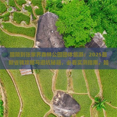 醴陵到张家界森林公园团体旅游