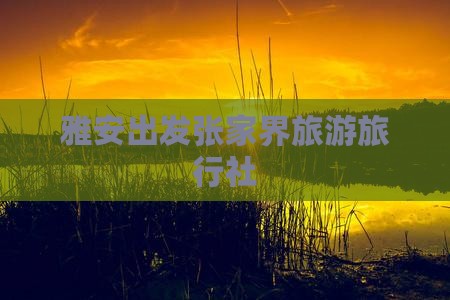 雅安去张家界旅行社