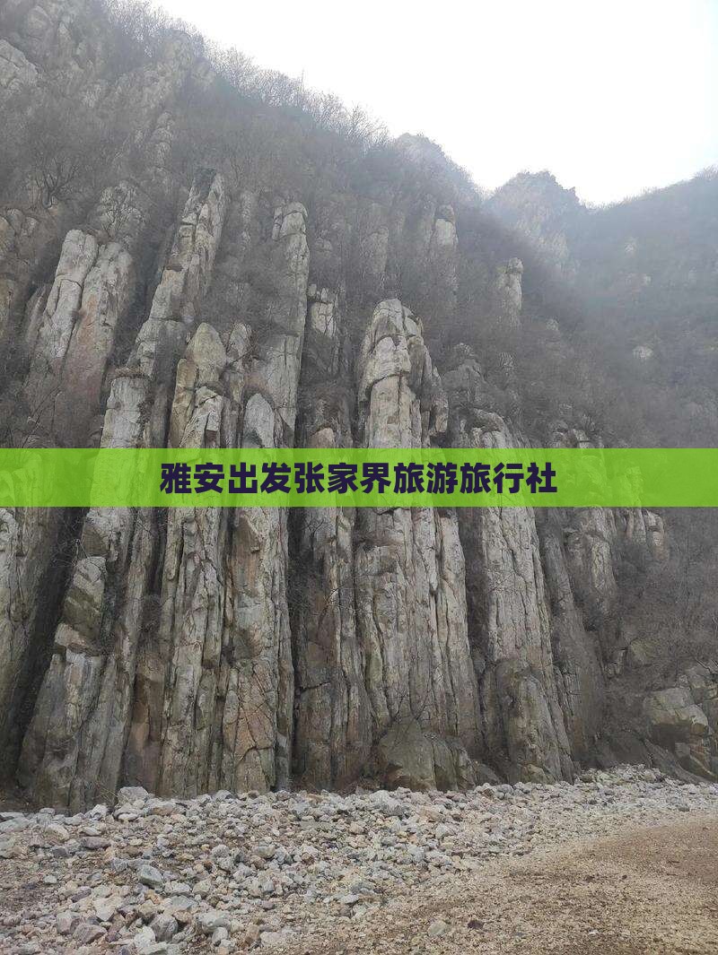 雅安去张家界旅行社