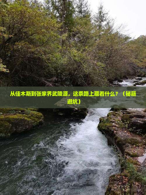 佳木斯到张家界武陵源哪里玩