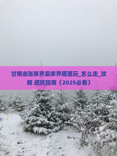 甘南去张家界袁家界哪里玩