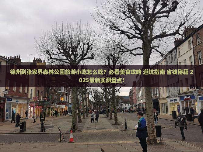 锦州到张家界森林公园旅游小吃