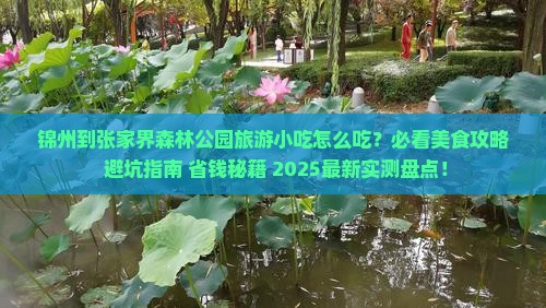 锦州到张家界森林公园旅游小吃