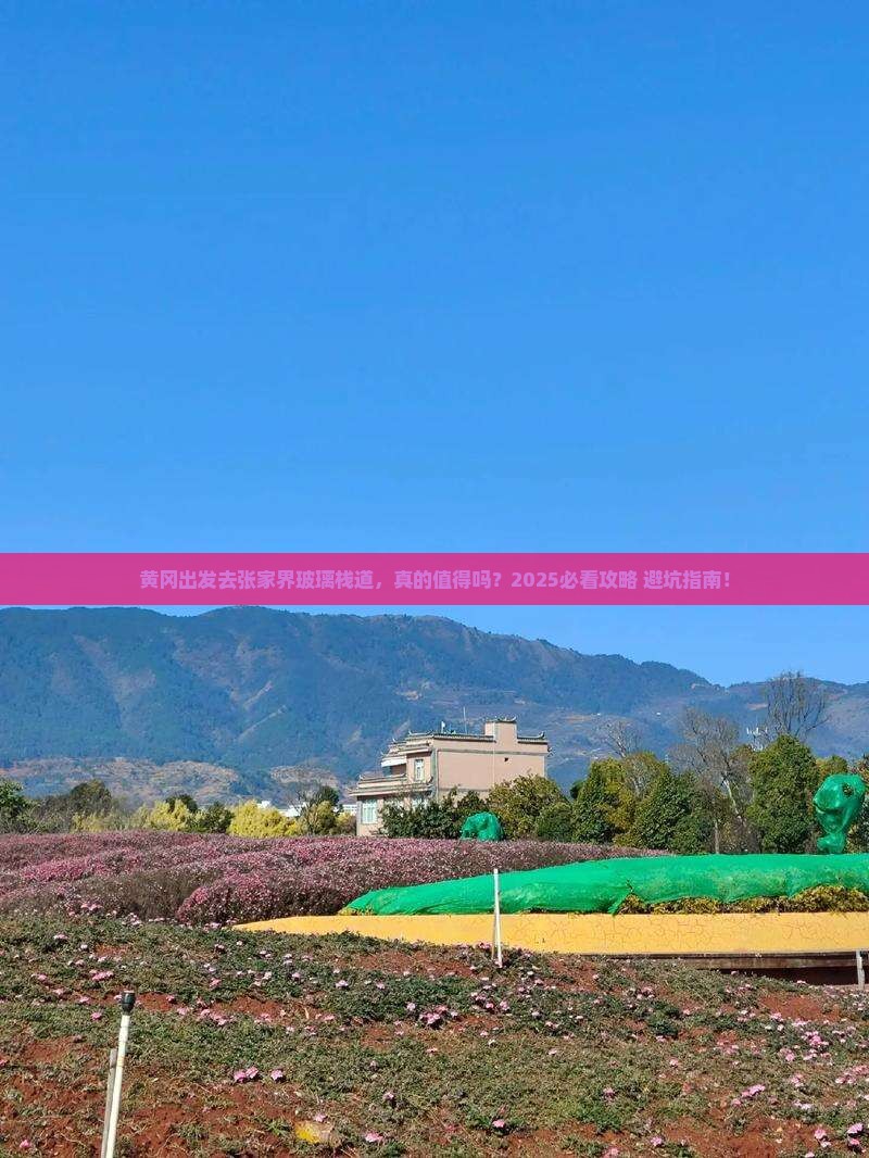 黄冈去张家界玻璃栈道攻略