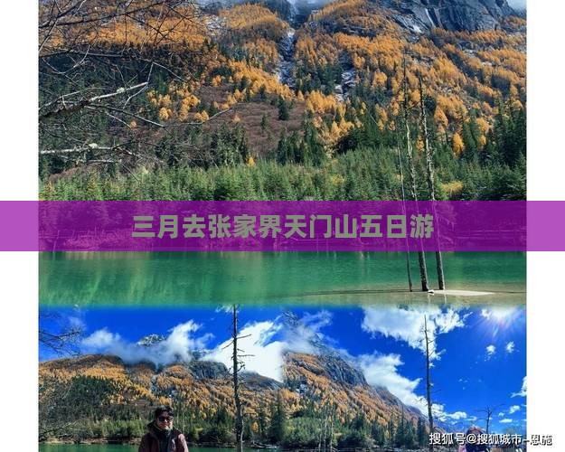 三月去张家界天门山五日游