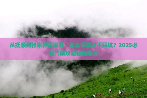 抚顺到张家界袁家界门票