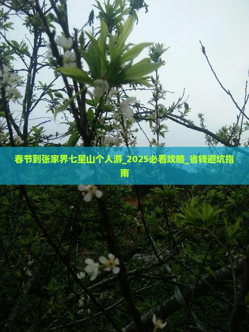 春节到张家界七星山个人游