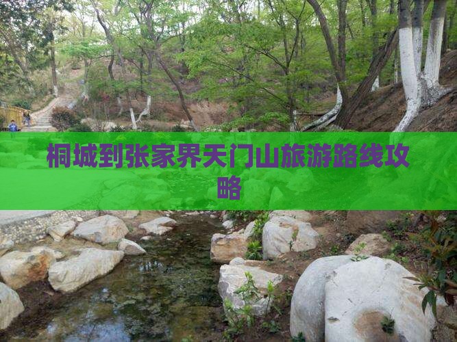 桐城到张家界天门山景点