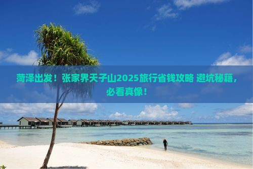 菏泽到张家界天子山旅行社