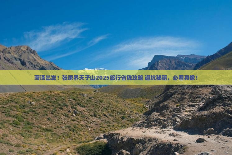 菏泽到张家界天子山旅行社