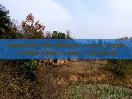 阿泰勒到张家界森林公园旅游小吃