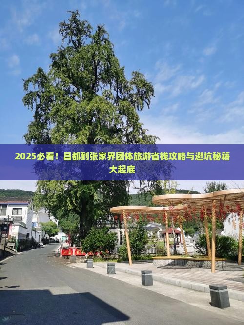 昌都到张家界团体旅游