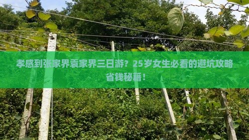 孝感到张家界袁家界三日游
