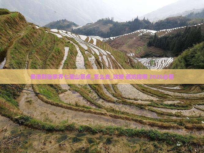 果洛到张家界七星山景点