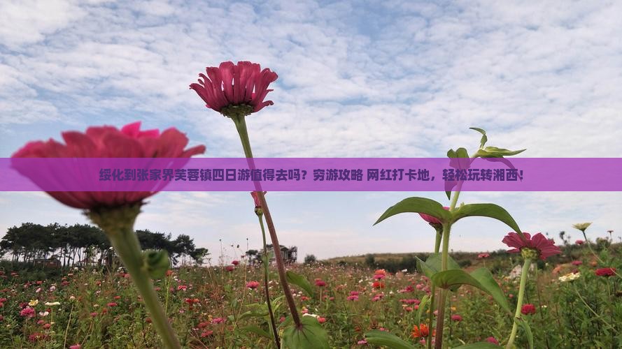 绥化到张家界芙蓉镇四日游