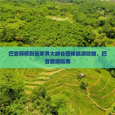 巴音郭楞到张家界大峡谷团体旅游