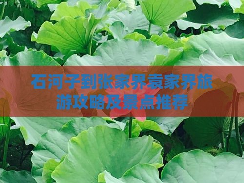 石河子到张家界袁家界旅游