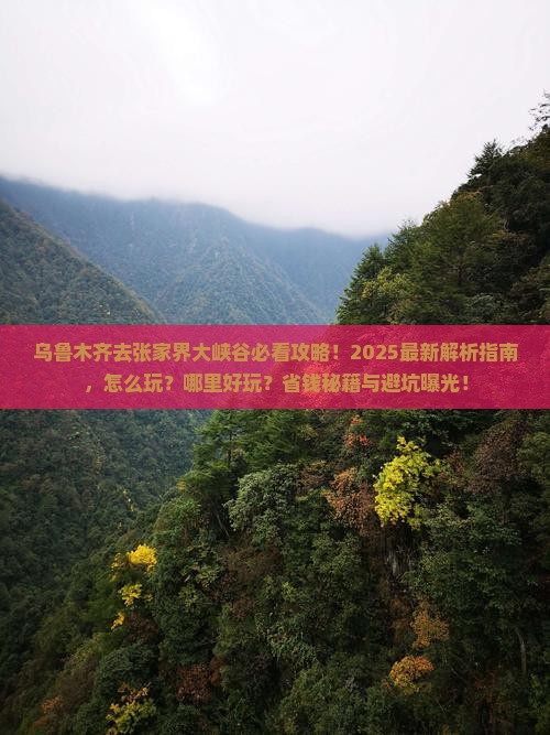 乌鲁木齐去张家界大峡谷哪里玩