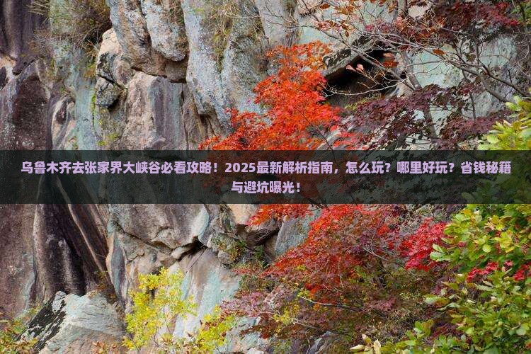 乌鲁木齐去张家界大峡谷哪里玩