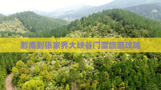 黔南到张家界大峡谷门票