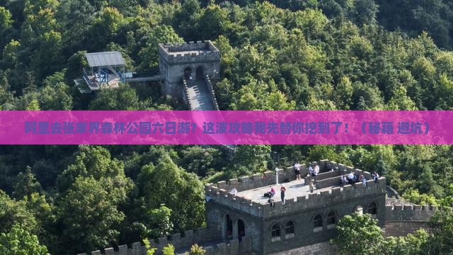 阿里去张家界森林公园六日游