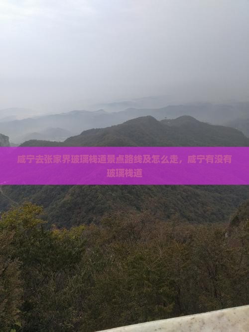 咸宁去张家界玻璃栈道景点