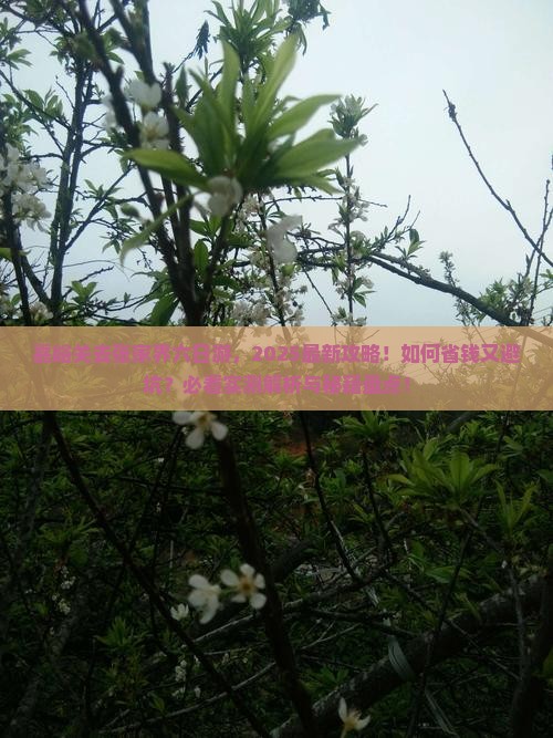 嘉峪关去张家界六日游